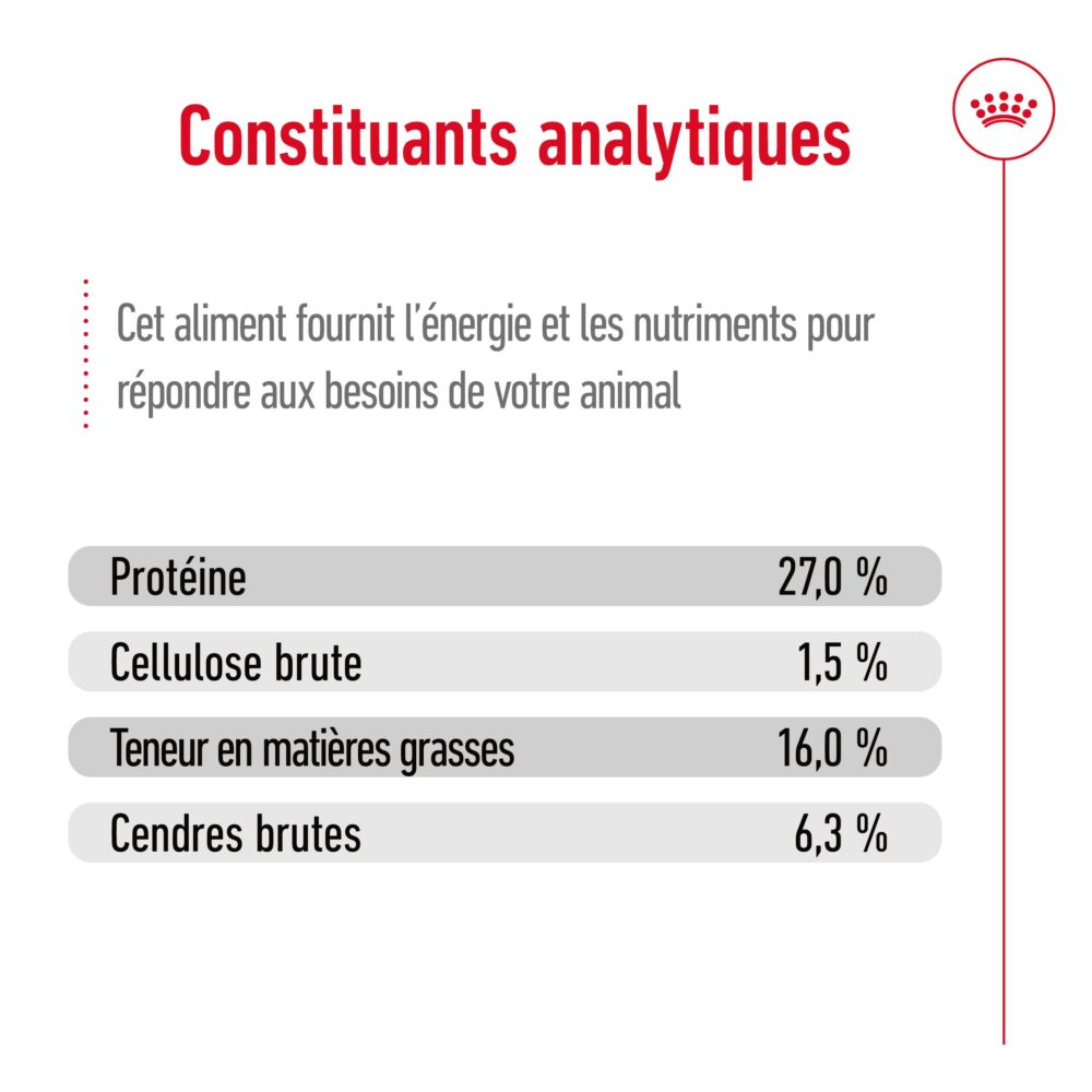Royal Canin Maxi Adult – Image 3