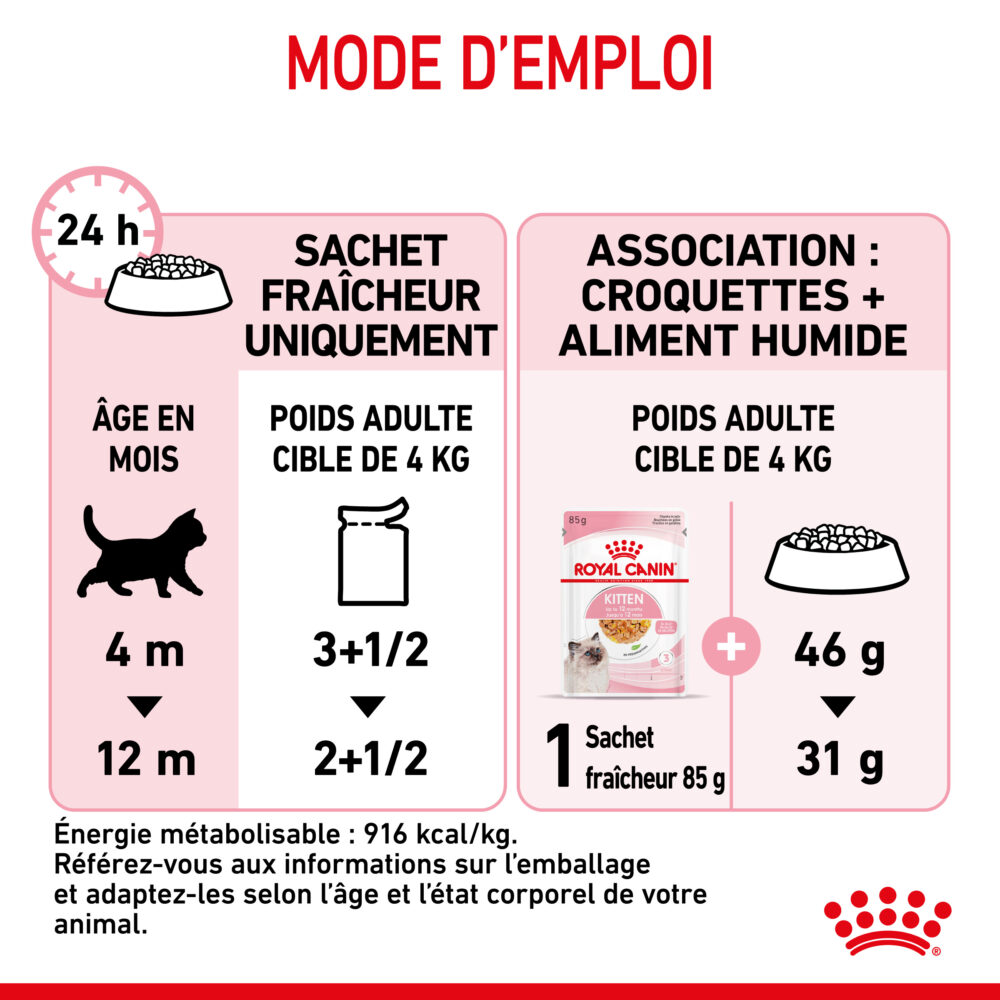 Royal Canin Kitten Gelée – Image 2