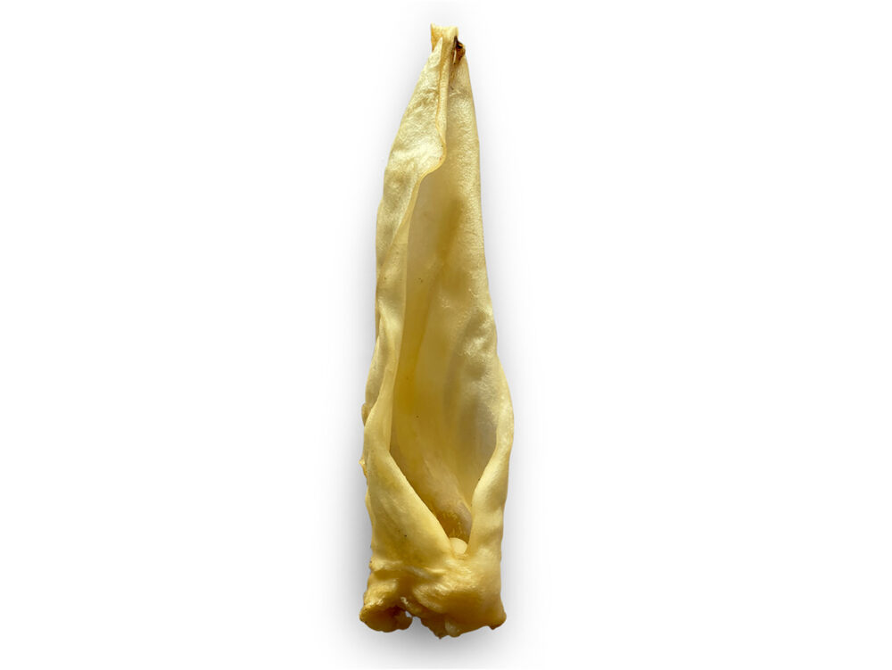 Oreille D'Agneau Vrac