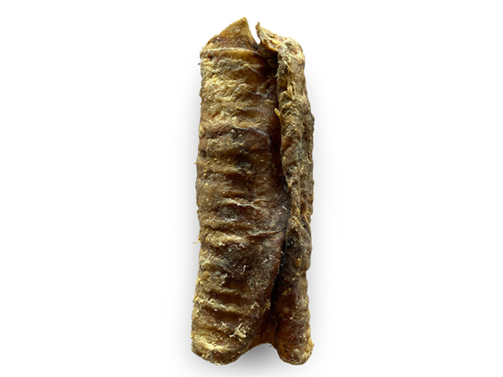 Trachée de Boeuf Vrac