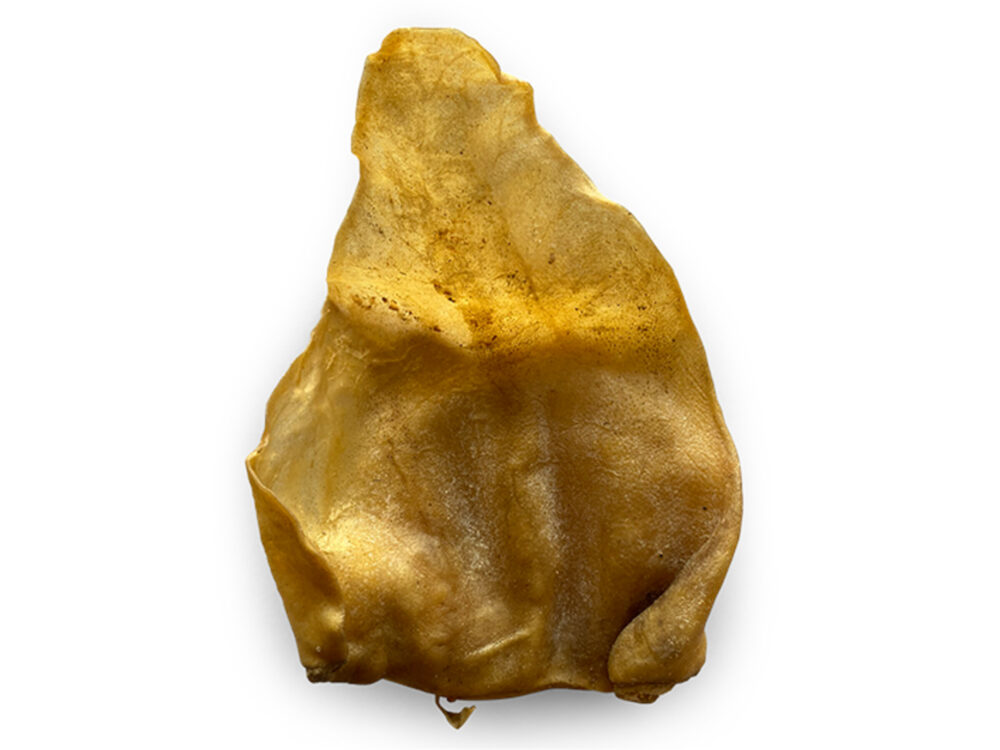 Oreille de Porc Vrac